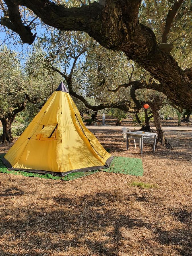Hotel camping a selinunte  Marinella di Selinunte Esterno foto